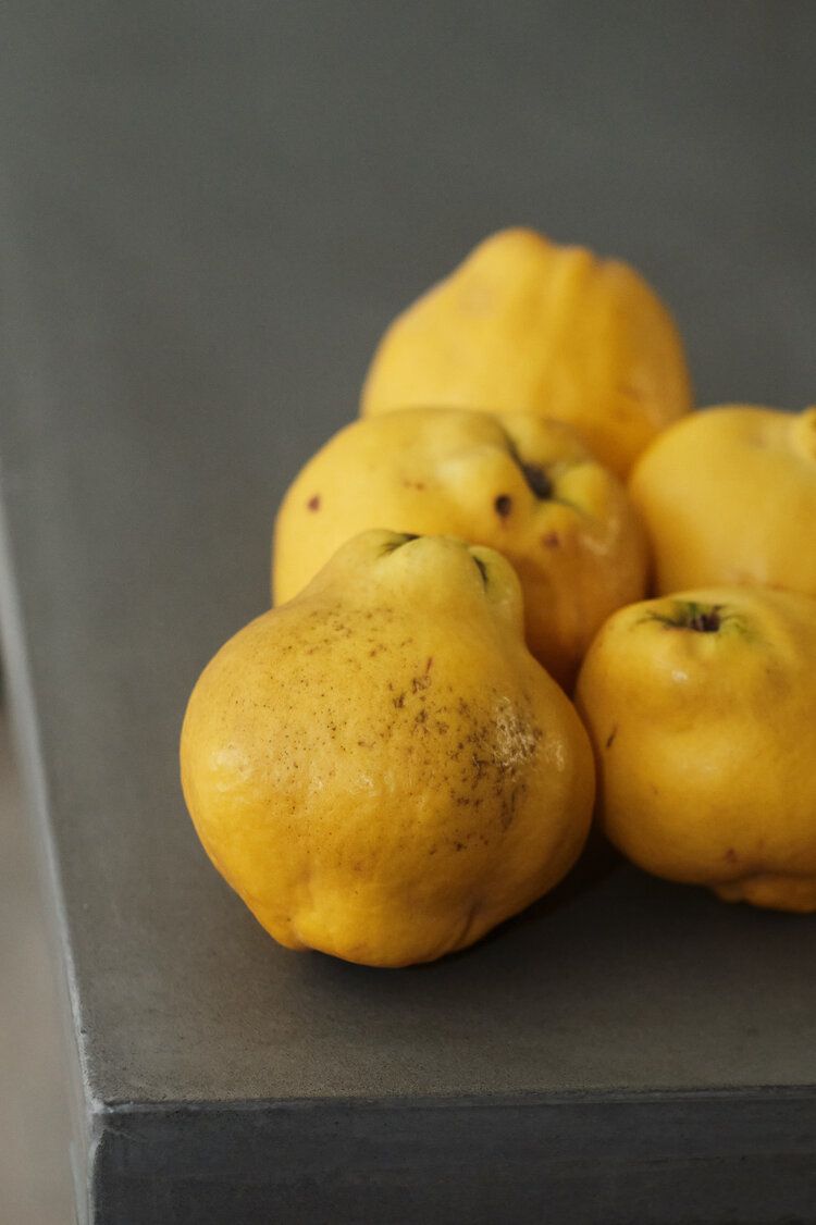 Quince, and why you should love it