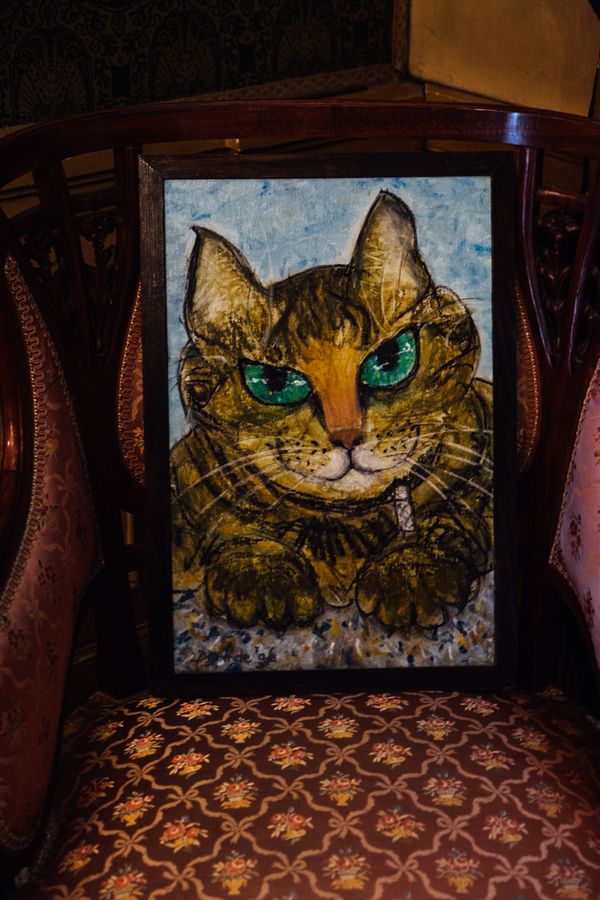 Inside the The cat museum in Amsterdam is a of